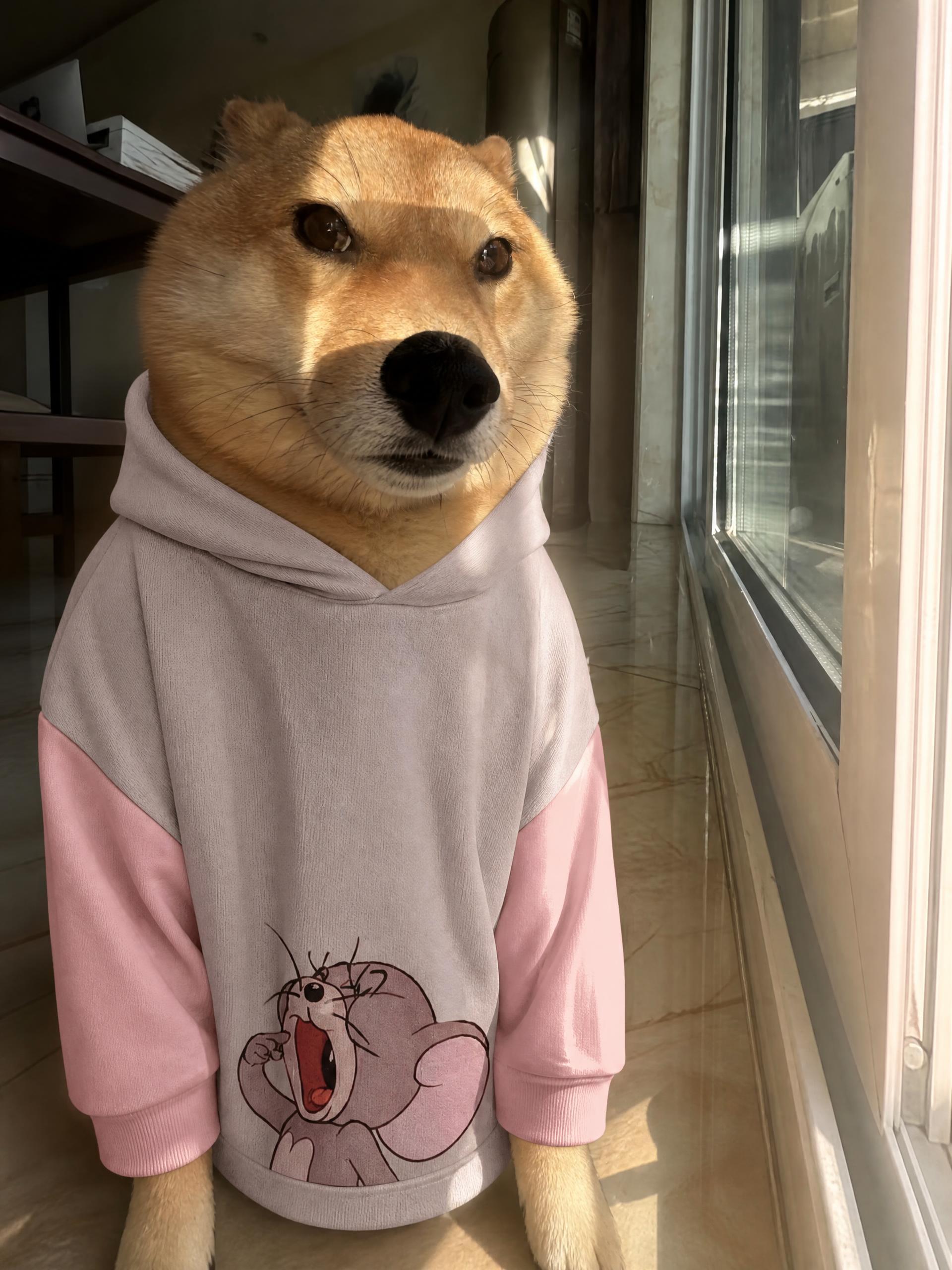 Streetwear Unisex Monkey Washed Dyed Fleece Hoodie - Image 3